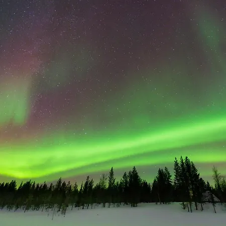 Boreal Pines In Rovaniemi, Lapland With Sauna, Balcony For Northern Lights & Free Parking *