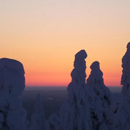 Boreal Pines In Rovaniemi, Lapland With Sauna, Balcony For Northern Lights & Free Parking דירה *