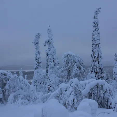 Boreal Pines In Rovaniemi, Lapland With Sauna, Balcony For Northern Lights & Free Parking *