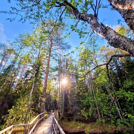 Boreal Pines In Rovaniemi, Lapland With Sauna, Balcony For Northern Lights & Free Parking דירה רובניימי