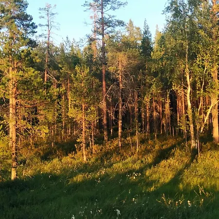 דירה Boreal Pines In Rovaniemi, Lapland With Sauna, Balcony For Northern Lights & Free Parking רובניימי