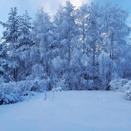Apartamento Boreal Pines In Rovaniemi, Lapland With Sauna, Balcony For Northern Lights & Free Parking Rovaniemi